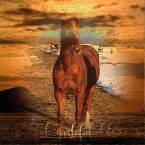 Meet your Posher, Linda